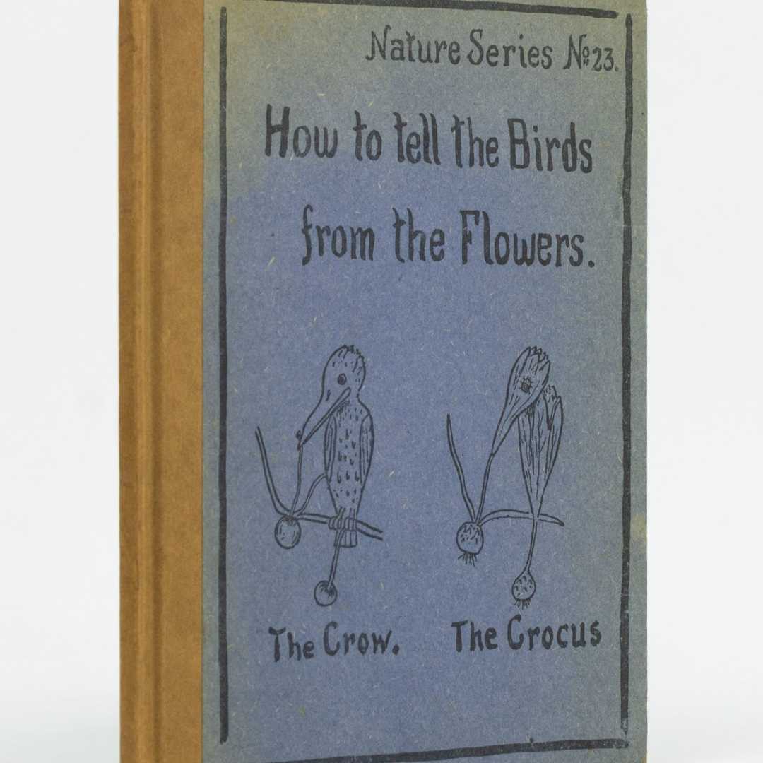How to Tell the Birds from the Flowers